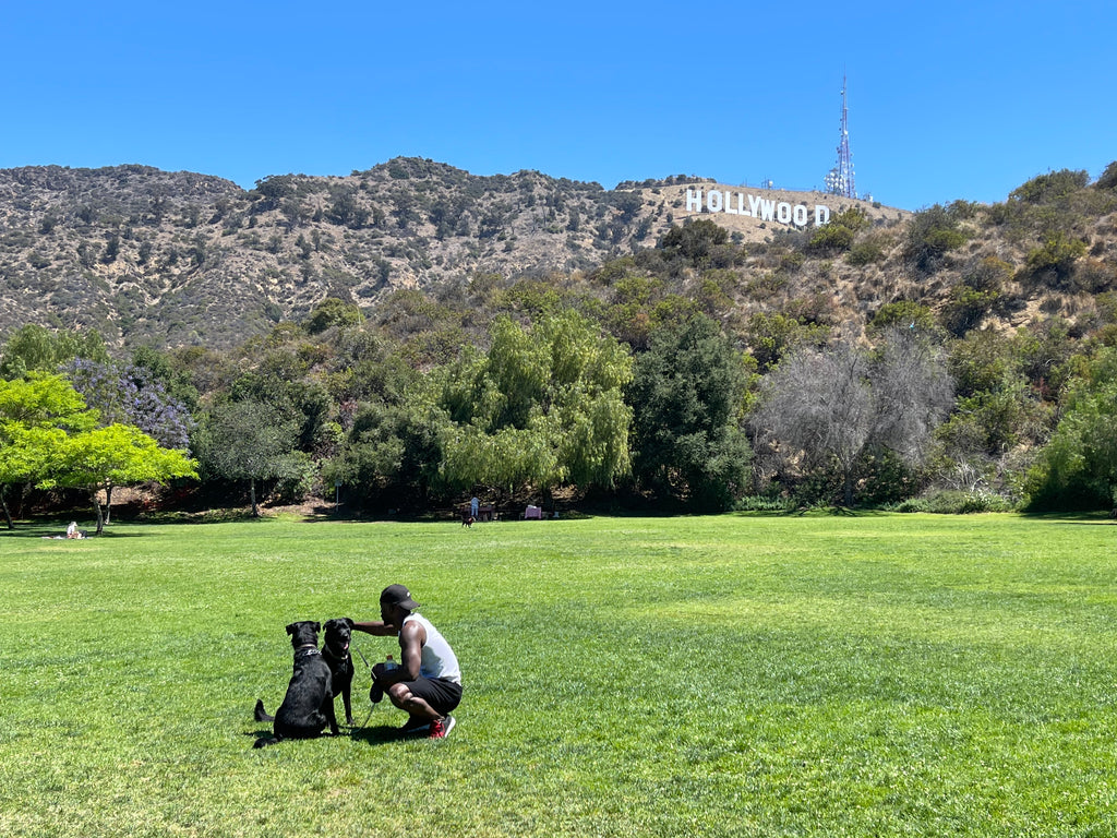 /세미야,여행가자/여구가 LA출도착 9박10일 세미패키지 투어, LA, 라스베가스, 샌프란시스코, 그랜드캐년, 요세미티